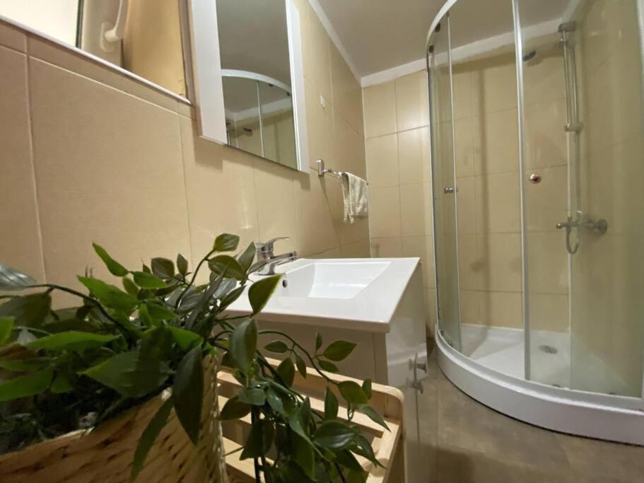 Kara'S Apartment Bucureşti Ngoại thất bức ảnh